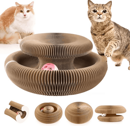 🐱Magic Foldable Scratcher & Cat Bed🛌 - Buy 2 & Save 15% - TODAY ONLY