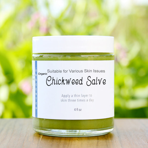 ORGANIC CHICKWEED SALVE 4OZ