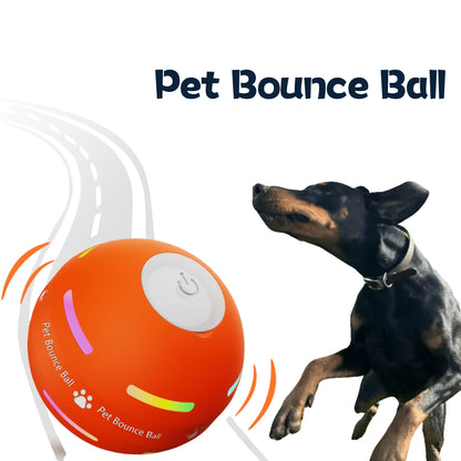 🎄 Christmas Flash Sale -50% off - Pet Bounce Ball